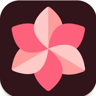 WallSpot官方免费2025最新版v1.6