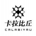 卡拉彼丘安卓官网最新版安装v0.5.1.0