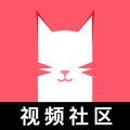 猫咪app视频安卓官方版v1.58.67