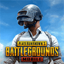 pubg亚服手游最新正版官网版v0.9.5.29