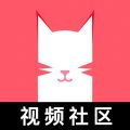 猫咪视频app官网版免费v2.8.48