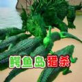 鳄鱼岛大猎杀逃安卓版v1.0