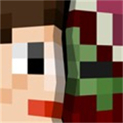 Addons中文汉化版安卓免费v1.21.4