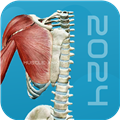 3d肌肉解剖官方2025最新版本v1.3