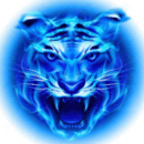 四虎影视免费观看安装手机版v1.0.0