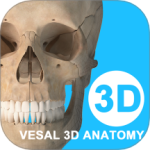 维萨里3D解剖免费版v6.9.0