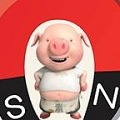 磁力猪在线搜索引擎v1.0.4