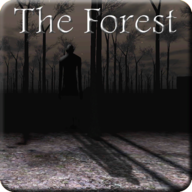 Slendrina: The Forest游戏官方版v1.0.3