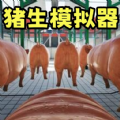 小猪派对安卓版v1.00